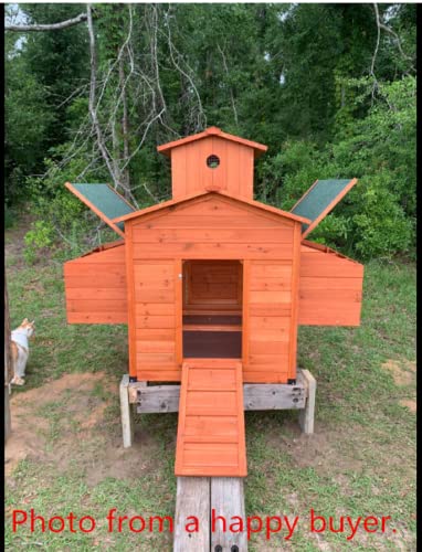 Deluxe Large Wood Chicken Coop Backyard Hen House 6-10 Chickens with 6 Nesting Box