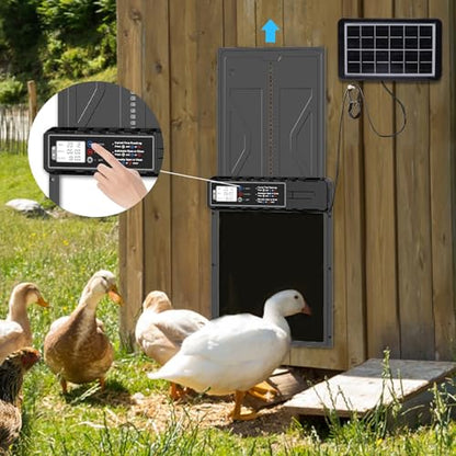 NEONMAN Multi-Mode Chicken Flap, Automatic Chicken Coop Door Solar Powered Automatic Chichken Flap LCD Display Anti-Pinch Safety Suitable for Poultry