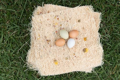 Chicken Nesting Pads with Aromatic Nest Herbs | Natural Excelsior Aspen Fiber Poultry Bedding | 13 x 13 Inches | Pack of 10 - style: With Aromatic Herbs