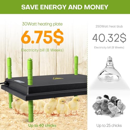 Chick Brooder Heater Plate, 12"x16" Warmer Brooder Plate for Chicks with Adjustable Height, 30W Temperature Control Brooder Heating Plate for 40 Baby Chicks Duck - size: 16.3"L x 12.0"W x 3.0"H
