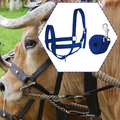 Cow Halter with Leading Rope,Bull Bridle Handling Equipment Harness,Cattle Calf Halter Adjustable for Farm Foal, L