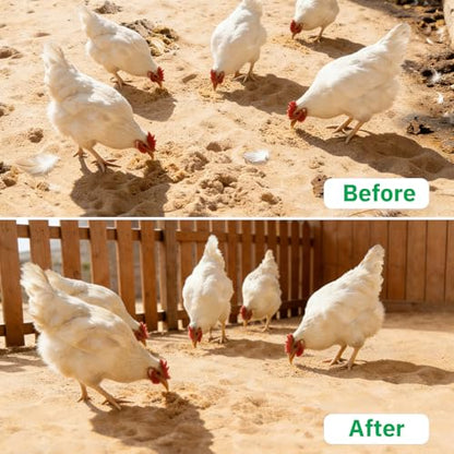 4 Pack Chicken Poop Scooper, 5.5" Metal Mesh Shovel | 2.0mm/2.8mm/3.8mm/5mm Holes, Chicken Coop Rake for Sand Litter, Suitable for Chickens, Cats, Rabbits, Hamsters & Reptiles - size: 5.5" 4 Set