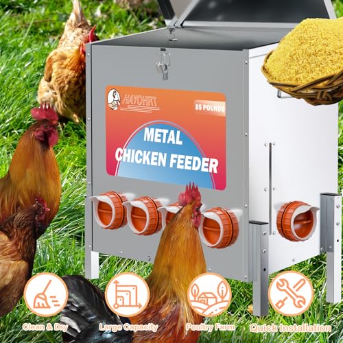 85LBS of Feed Chicken Feeder No Waste 10-Ports Automatic Large Poultry Feeder with Adjustable Legs Perspective Window Latch & Handle for Chickens Bantams Pheasants - size: 10 Ports - 85-120 LBS