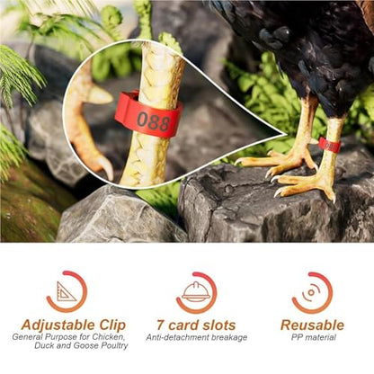 150pcs Adjustable Chick Leg Bands Ducks Bracelet Multicolor Numbered Poultry Foot Rings for Chicks Geese Pigeon Outdoor for Easy Flock Management