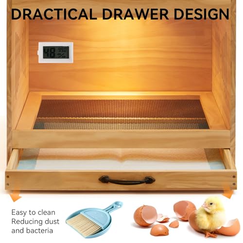 Brooder Box for Chicks with Heat Lamp Kit & Thermometer - Wooden Chicken Brooder for 12 Chicks Indoor/Outdoor - Baby Chicken Cage for Ducks, Quails, Hamsters, Lizards