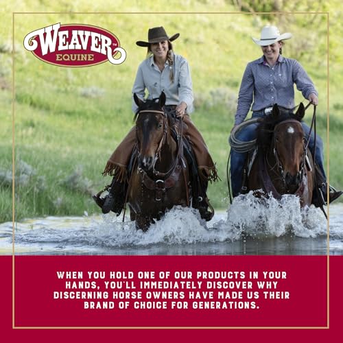 Weaver Equine Breakaway Horse Halter, Comfort Foam Padding, Adjustable Chin & Throat Snap Halters for Horses, Equine Tack,Average Size, Red