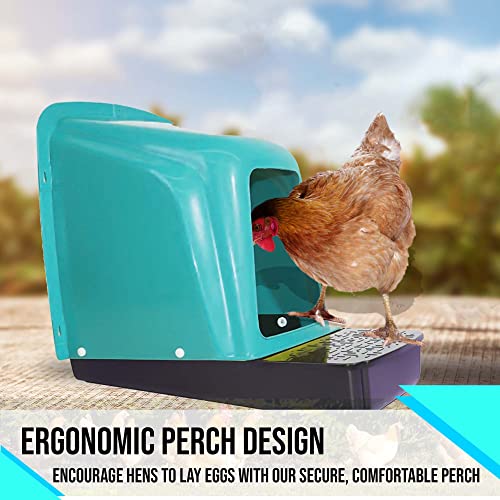 Nesting Boxes for Chicken Coop | Roll Away Hen House for Laying Eggs | Durable Plastic Chick Brooder Box with Perch & Pull Out Egg Tray for Poultry Farm | Chicken Coop Accessories (Pack of 10)