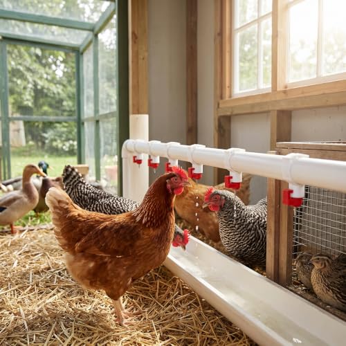 Chicken Waterer Nipples, Durable Steel Ball Valve, Automatic Drinking Spout, Clip 25mm Pipe, Farm Waterer for Chickens, Ducks, Geese, Poultry Drinking System, Farm