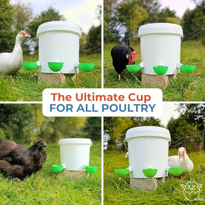 Lil'Clucker - Large Automatic Chicken Waterer Cups Suitable for Ducks, Geese, Turkeys, and Bunny Rabbit - Water Feeder Kit - Poultry Waterer (Green, 5 Pack) - color: Green, size: 5 Pack