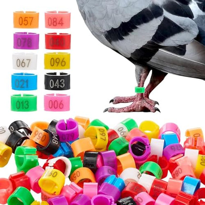 100Pcs 8mm Clip-On Bird Leg Rings, Colored Numbered Identification Bands for Pigeon, Quail, Chick, Bantam and Small Birds