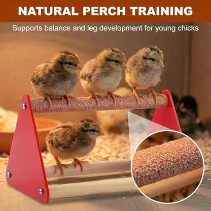 5-Pack Chick Feeder and Waterer, Baby Poultry Starter Set with 2 Feeder Troughs, 1L Waterer & 2 Wooden Perches, Small Chick Brooder Accessories for Chicken, Duck & Quail