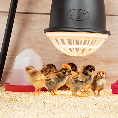 Premier 1 “Prima” Heat Lamp®