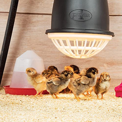 Premier 1 “Prima” Heat Lamp®