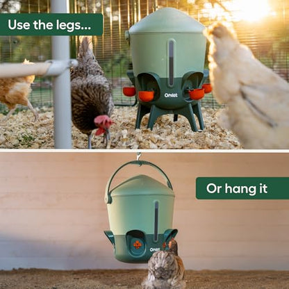 Omlet Insulated Chicken Waterer, 3 Gallon | Stay-Clean Automatic Water Dispenser for Chickens | BPA-Free | Anti-Roost Domed Lid | Includes 5 Cups & Nipples | Sage Green - color: Sage Green, size: 3 Gallon