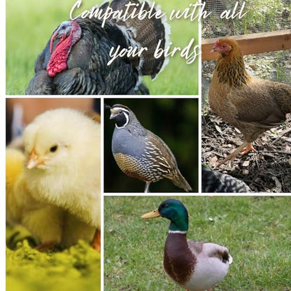 Chicken water cups by Hillside Homestead 8pk + Free Extras | Leak Resistant Automatic Chicken Waterer Cups for Baby chick supplies & Other Poultry | Fits 5 gallon buckets & DIY chicken water dispenser