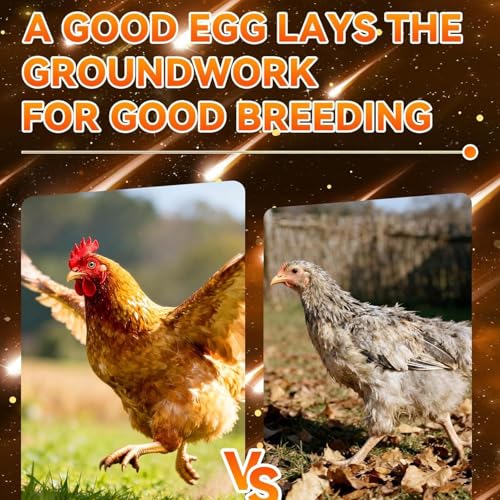 Egg Candler, Rechargeable LED Tester, 15x5cm Poultry Lamp Highlight, ABS Ergonomic Detail SPU, Egg Light with 3 Level Brightness, Hatching Chicks Laying Eggs for Farm Indoor Outdoor Winter