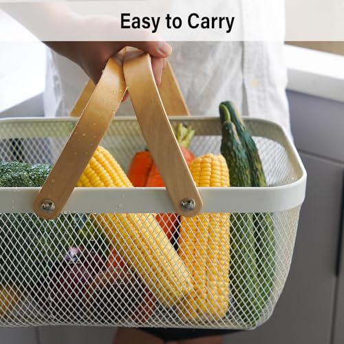 Metal Mesh Steel Harvest Basket, Rectangle Wire Garden Basket with Handle – Multi-Functional Storage Organizer for Gathering Vegetables, Fruits, Kitchen, Garden, Picnic & Cabinet (Blue) - color: Blue-Rectangle