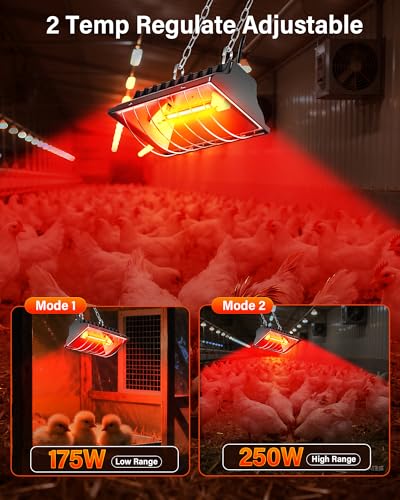 Chicken Coop Heater 2-Pack, 175W & 250W Dual-Mode Heat Lamp for Chickens with 3M Cord, Adjustable Hanging Height Brooder Heater for Ducks, Calves, Poultry and Livestock Pets Warmer in Winter
