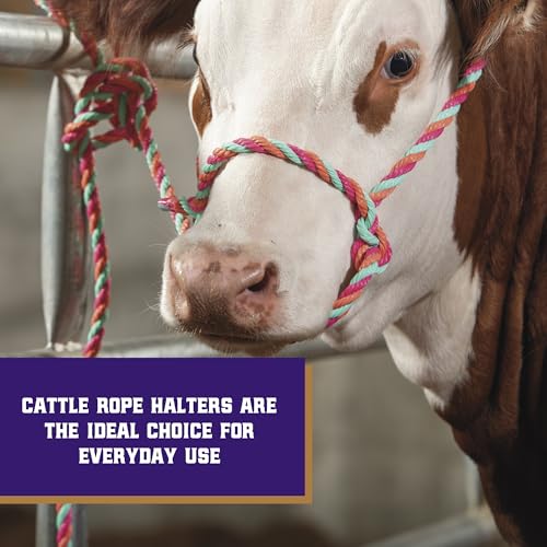 Weaver Livestock Braided Poly Rope Cattle Halter, Adjustable Style Cow Calf Halter, Livestock Handling Equipment for Showing, Hot Pink/Coral/Mint
