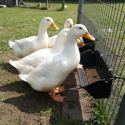 10 Pack Hanging Goat Feeder & Mineral Trough, 5 Qt Fence Feed Trough for Goats, Sheep, Ducks & Chickens, Plastic Farm Feed Bucket with Clips, Zip Ties & Screws, for Grain, Grit & Minerals - color: 10 Packs