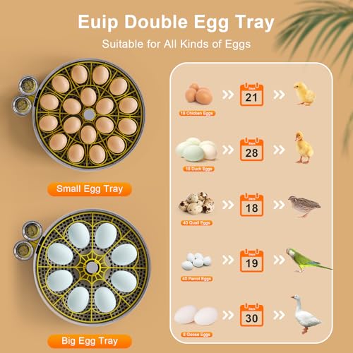 IBKINXX Incubator for Hatching Eggs-18 Egg Capacity, Newly Upgraded Automatic Egg Turner, Temperature & Humidity Control, 360° Viewing for Chicken, Duck and Quail Eggs (Black)