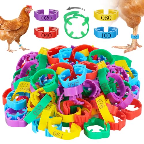 MEWTOGO 17-23mm Adjustable 100 Pcs Chicken Leg Bands - Colorful Numbered Chicken Identification Leg Rings, Durable Poultry Leg Bands for Ducks Goose Turkey Small Birds