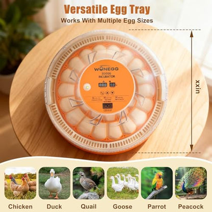 Gen IV - 30 Egg Incubator, Wide-Range Humidity with Manual Water Fill, Stable Temp Control, Dual-Size Egg Slots, Auto Egg Turning, Candler, Real-Time Display for Hatching Poultry Eggs - size: 30 egg-white