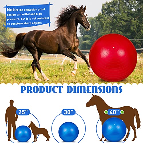 Sotiff 2 Pcs 40 Inch Horse Ball for Play Large Horse Big Equine Herding Anti Burst Dog Ball Soccer Giant, Pump Included(40 Inch,Blue and Red) - color: Blue and Red