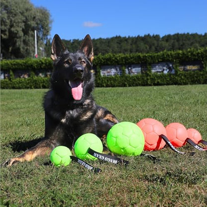 Dingo Gear Dog Ball with 1 Handle, Faux Leather, Green 7in - color: Green Ball, size: 7"