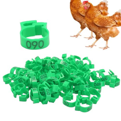 100PCS 20mm Chicken Leg Bands, 001 to 100 Numbered Colorful Chicken Birds Poultry Identification Leg Bands for Chicks Ducks Pigeons Goose Quail Yellow (Green) - color: Green