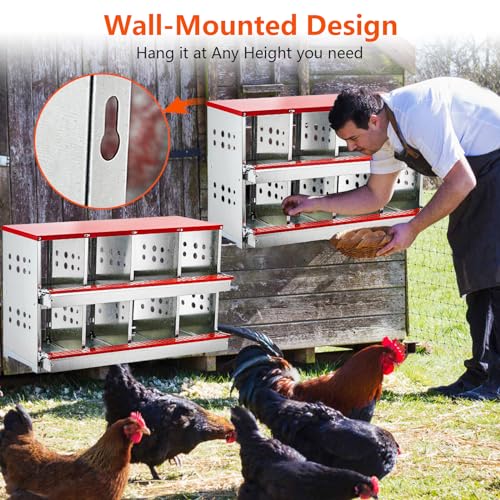 8-Compartment Chicken Nesting Box, Wall Mounted Roll Away Nesting Box for Laying Hens, Galvanized Steel Egg Laying Box with Collection Tray & Perch, Easy Clean Heavy Duty Poultry Nest Box