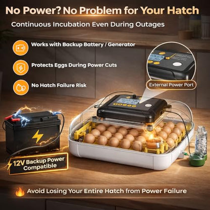 Egg Incubator for Hatching Eggs 30 Eggs, Chicken Incubator with Automatic Egg Turning, Temperature & Humidity Control, Egg Candler, Poultry Incubator for Chicken Quail