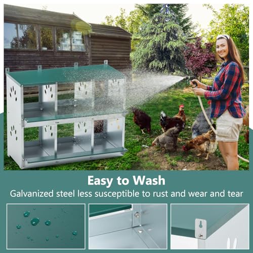 8-Compartment Metal Chicken Nesting Box for Hens, Wall-Mounted Poultry Laying Coop with Ventilation Holes and Tilted Roof Design (6-Hole,Green) - color: 6-Hole,Green