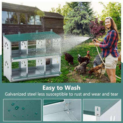 Durable Metal Chicken Nesting Box for Hens – Wall-Mounted Poultry Nesting System with Ventilation and Easy Egg Collection (6-Hole,Green)