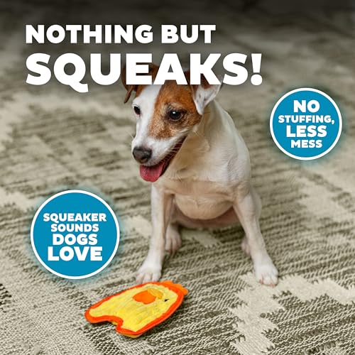 Outward Hound Durablez Minis Stuffing-Free Squeaky Plush Dog Toy for Puppies & Small Dogs - Interactive, Soft Yet Tough, No Mess, Jumbo Squeaker, Long-Lasting Play, Chicken - color: Chicky, size: X-Small