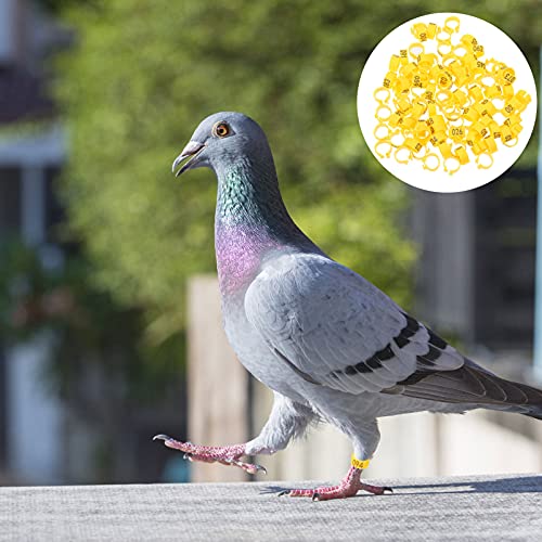 iplusmile Numbered Pigeon Leg Bands 100 Pcs Plastic Bird Foot Rings Easy Clip-on Identification Rings for Small Poultry Breeding and Tracking