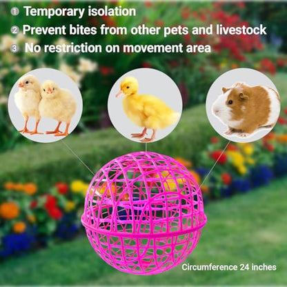 7.8" Ball-Shaped Movable Pigeon Chick Coop, Little Rabbit Duck Guinea Pig Safe Walking Net,Preventing Dog Bites, Predation by Eagles Wolves Cats Eagles, Pet Safety Cage (Rose) - color: Rose