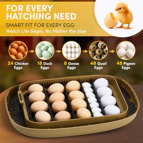 HIRALIY Incubator for Hatching Eggs, 48 Quail Capacity, Chicken & Quail Egg Incubator with Automatic Egg Turning and Humidity Control, 360° Viewing for Home, Farm, Classroom