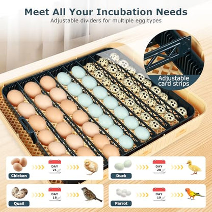 Incubators for Hatching Eggs, 56 Eggs Incubator with Egg Candler, Auto Egg Turner, Temp & Humidity Control, Hatch Day, 360° Viewing for Chicken, Duck, Quail Eggs, Ideal for Farm, School and Lab