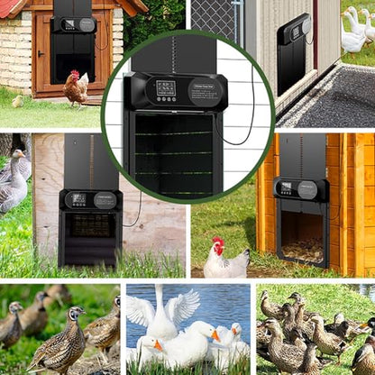 NEONMAN Multi-Mode Chicken Flap, Automatic Chicken Coop Door Solar Powered Automatic Chichken Flap LCD Display Anti-Pinch Safety Suitable for Poultry