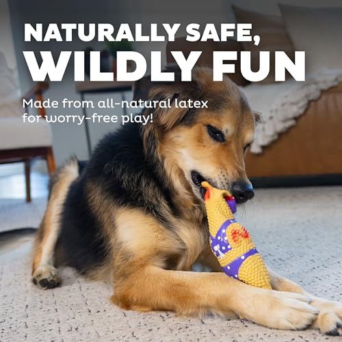 Outward Hound by Charming Pet Squawkers Henrietta Latex Squeaky Rubber Chicken Dog Toy, Funny Interactive Holiday Toy for Dogs, Large Size - color: Henrietta, size: Large