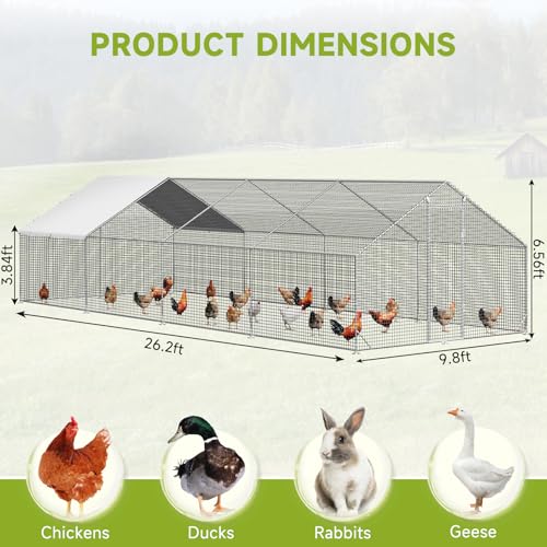 LEVELEVE Large Walk-in Chicken Coop with Chicken Run, Galvanized Poultry Enclosure with Waterproof Anti-UV Cover and Security Lock, Ideal for Rabbit, Duck, Backyard and Farm Yard，26.2'x 9.8'x 6.6' - size: 26.2'L x 9.8'W x 6.6'H