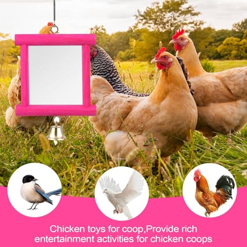 Chicken Toy Mirror | Chicken Mirror Beak Grinding Molar Stone,Safe Multi Functional Roosters Hens Entertainment for Garden Farm Outdoor Space