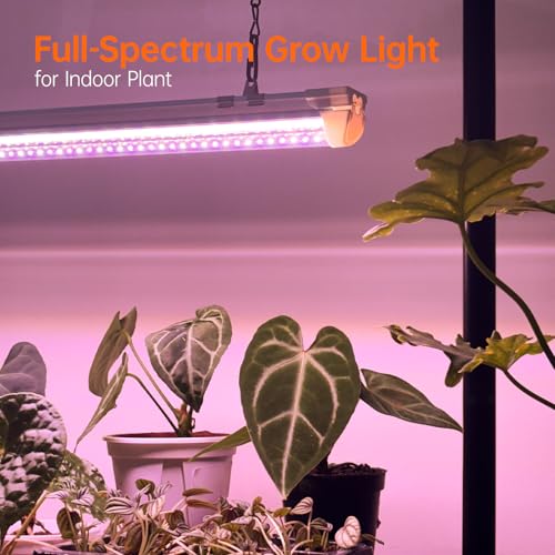 Bstrip Grow Light Stand, 2ft 24W Grow Light for Indoor Growing, Full Spectrum LED Plant Light for Seed Starting, Height Adjustable, Large 29.5" L x 18.3" W x 26.0" H - size: Large 29.5" L x 18.3" W x 26.0" H