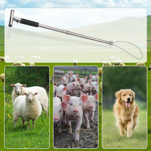 Dog Catcher Pole, Portable Hog Pig Catcher Pole,Stainless Steel Animal Control Pole Tool for Pig Dog Animals Swine, Livestock Farm Equipment