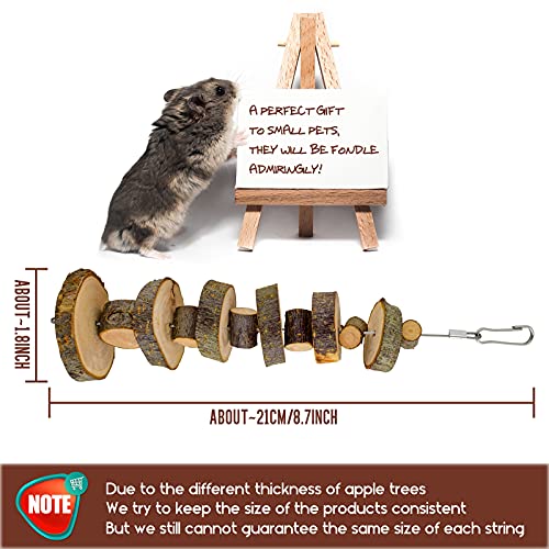 FJNATINH Small Animal Chews Toy Apple Wood Block Cage Hanging Molars Treats Snack for Hamsters Rabbits Bunny Bird Parrots Chinchilla Guinea Pig Gerbils Squirrels, 2 Pack