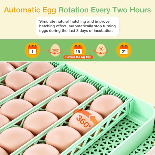 Sailnovo 48 Egg Incubator for Hatching Eggs with Auto Egg Turning, Precise Temp & Humidity Control, 360°Viewing, Egg Candler, Incubator for Chicken Eggs/Duck/Quail,Ideal for Farm/School/Lab,Green