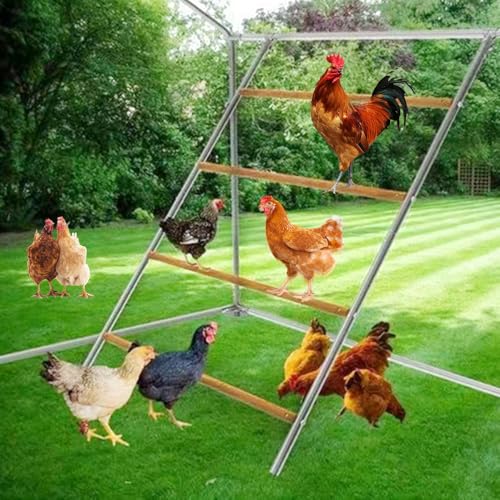 Chicken Roosting Perch,Chicken House ramp, Chicken Ladder, cat Climbing Frame, Bird Training Frame, Chicken Climbing Frame, Chicken Ramp,Chicken Ladder for Coop Henhouse, Chicken Habitat Frame.