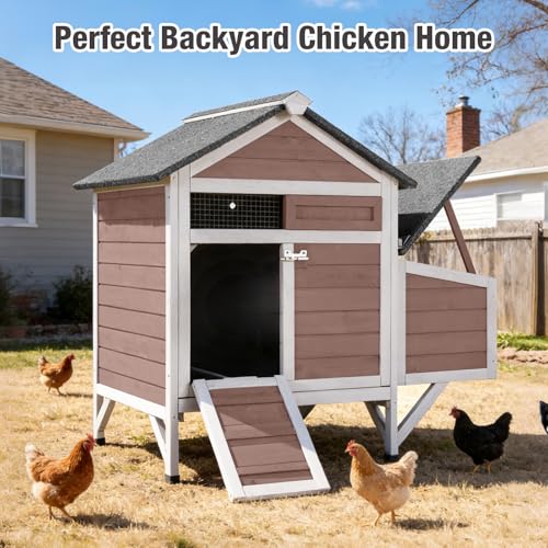 Small Chicken Coop with 2 Nesting Boxes, Wooden Hen House for 1-2 Chickens, Waterproof Asphalt Roof Poultry Hutch with Wildlife-Proof Latches, Roosting Bar and 4 Ground-Clearing Legs - color: Brown