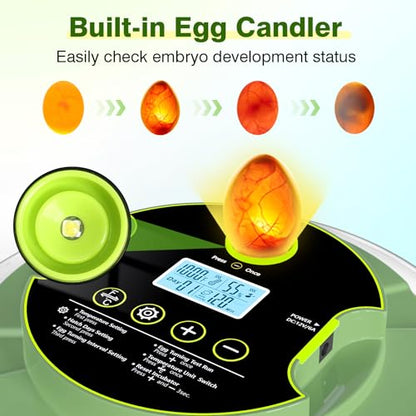 18 Chicken Egg Incubator with Temperature Control, Humidity Display, Auto Egg Turner, Egg Candler, 2 Size Egg Trays, Chick Incubaotrs for Hatching Eggs Digital Incubator for Chicken, Duck Eggs - style: 18 Eggs